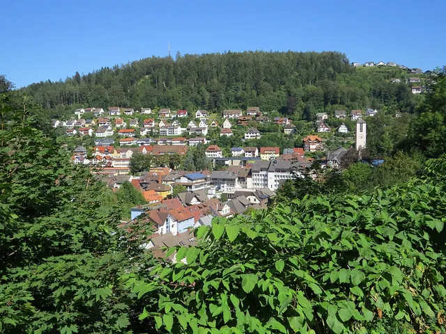 Pohled na Triberg v Černém lese